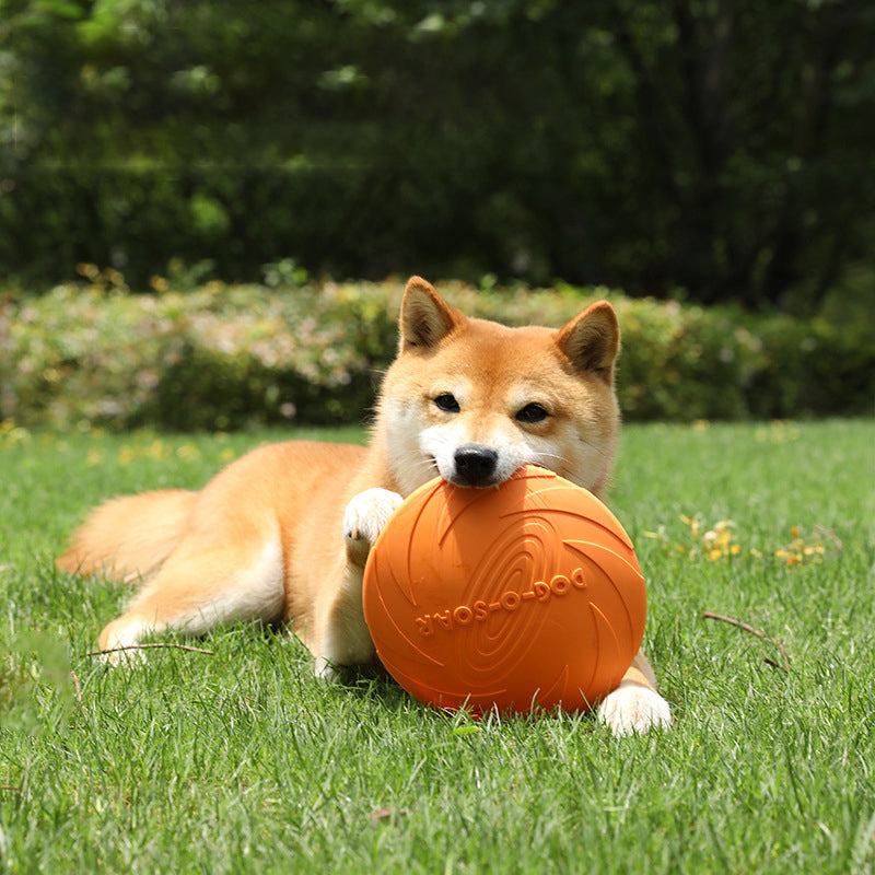 Schwimmfähiges Hunde-Frisbee
