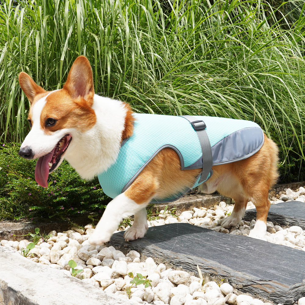 Kühlweste für Hunde