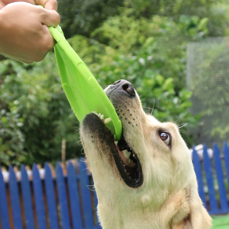 Hunde-Frisbee schwimmfähig &amp; bissfest